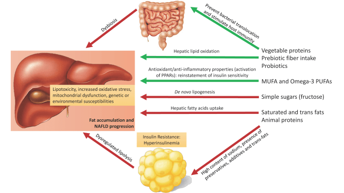 Liver fatty book holistic approach healthier solution