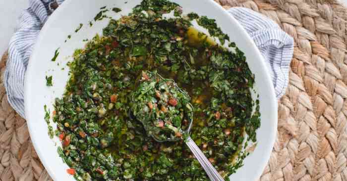 Cilantro chimichurri sauce recipe