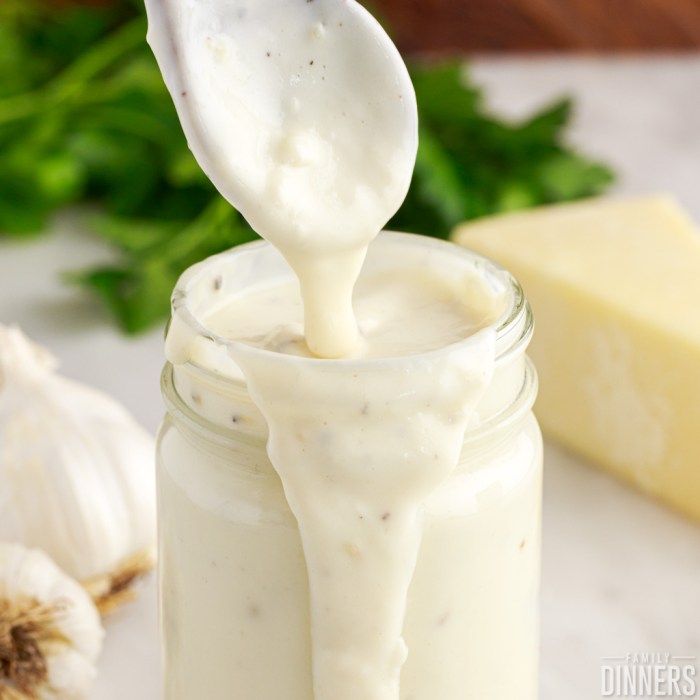 Garlic parm sauce recipe