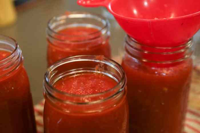 Recipe for canning tomato sauce