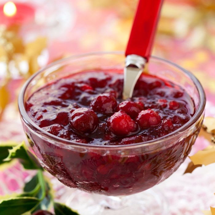 Can of cranberry sauce recipes